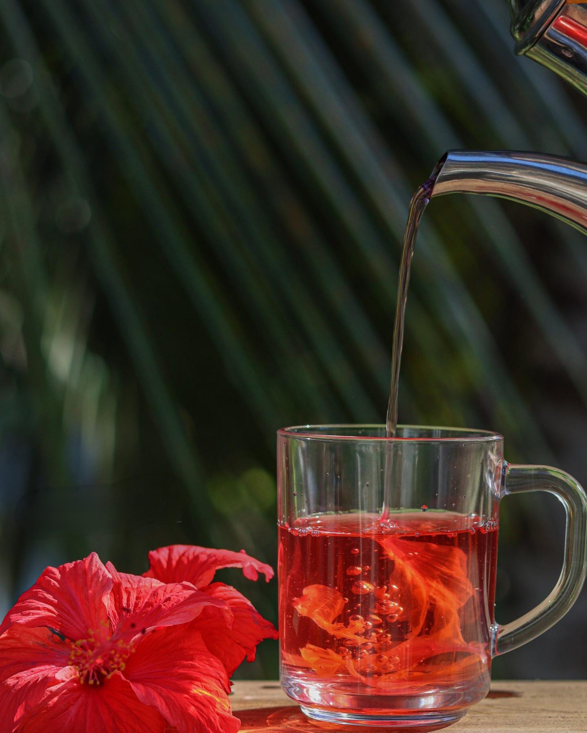 Hibiscus caffiene-free tea