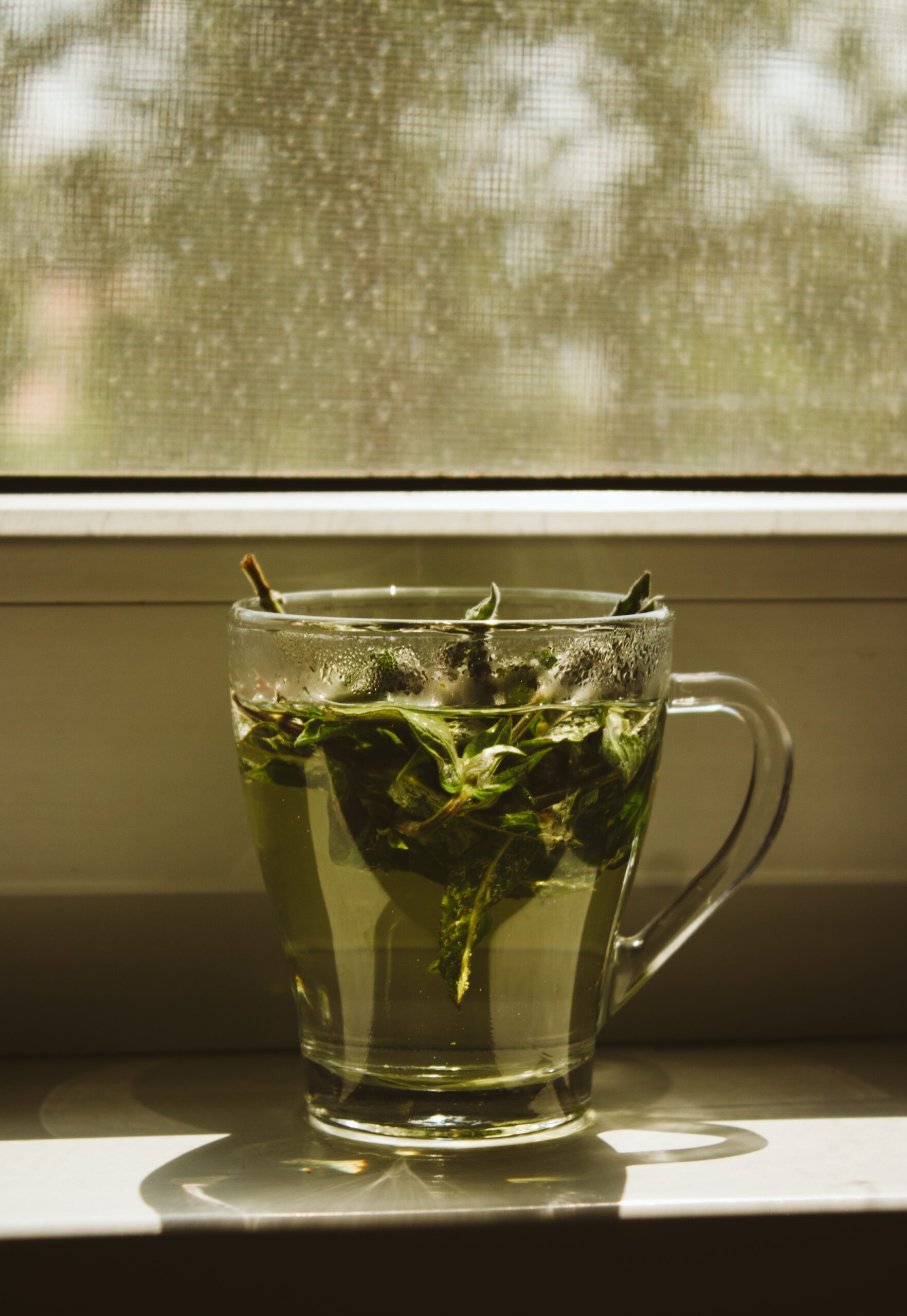 Peppermint caffeine-free tea