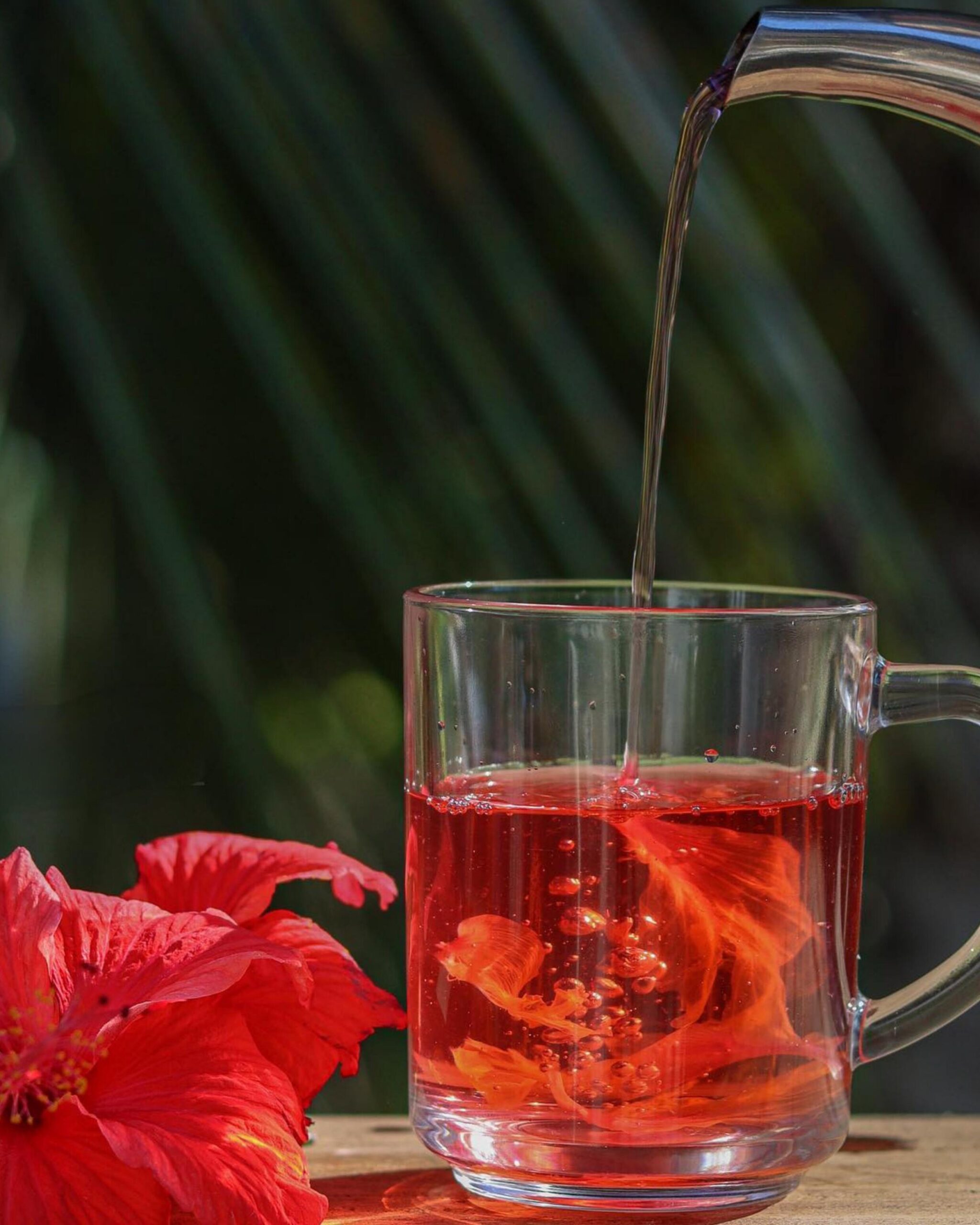 Hibiscus Green Tea