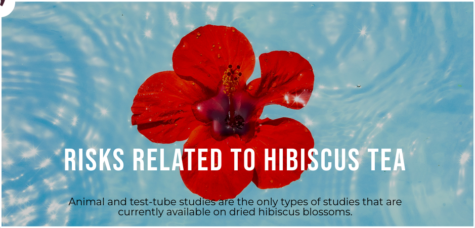 Potential Risks of Hibiscus Tea